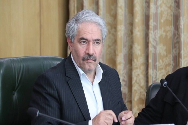 حفاظت از فوک خزری نیازمند هماهنگی دستگاه‌ها و استان‌های ساحلی است