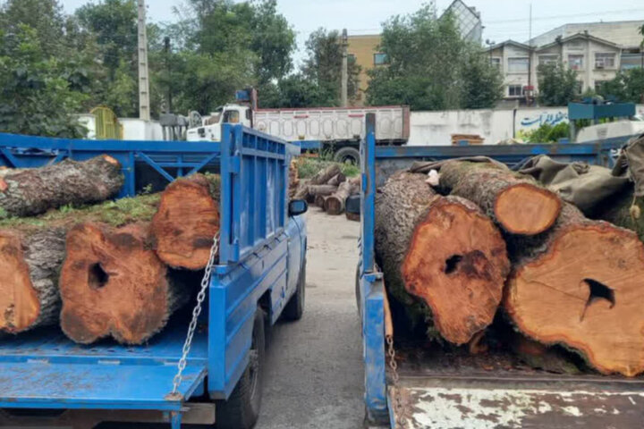 توقیف خودروهای حامل چوب قاچاق در مازندران